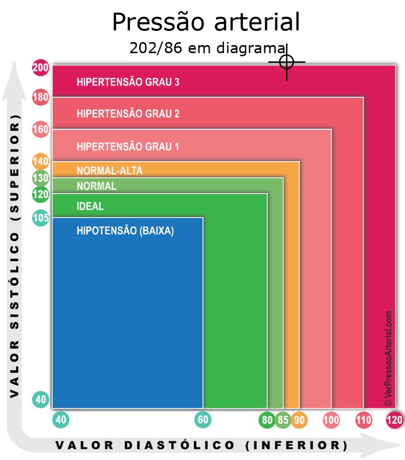 Pressão arterial 202 por 86 em diagrama