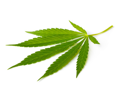 Como a marijuana afeta a pressão sanguínea?